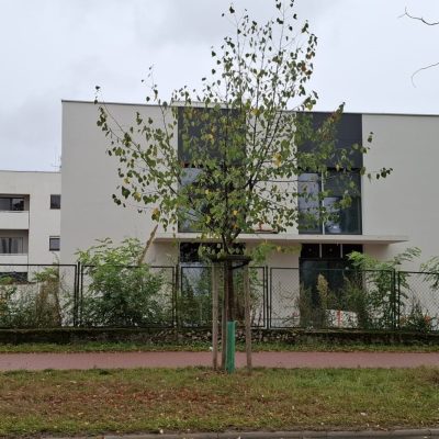 PCV 4